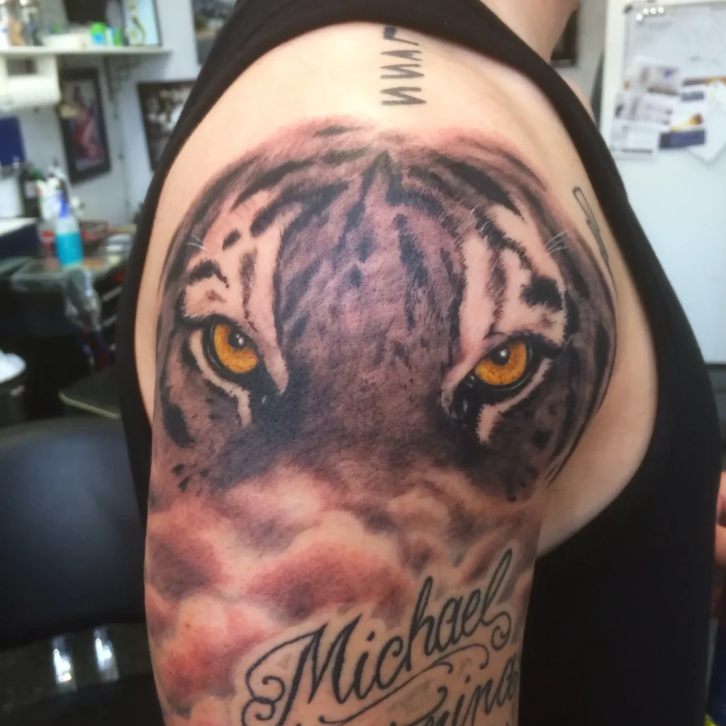 Tiger eyes in amber looking out from black and grey fur on a shoulder